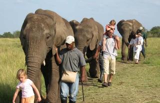 Just across the valley - walk with the elephants at the Elephant Santuary